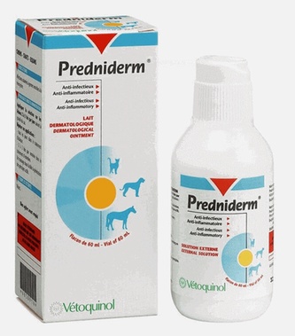 prednisolone